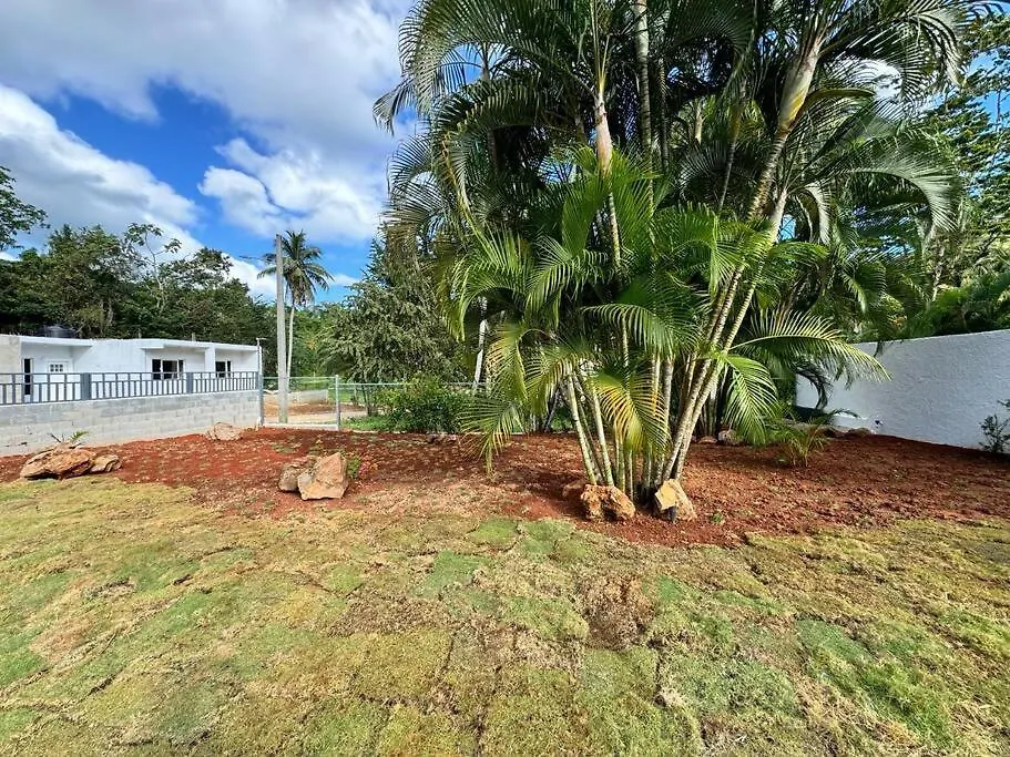 Holiday home Casa Calpi: A Tropical Oasis! Villa Las Terrenas Dominican Republic